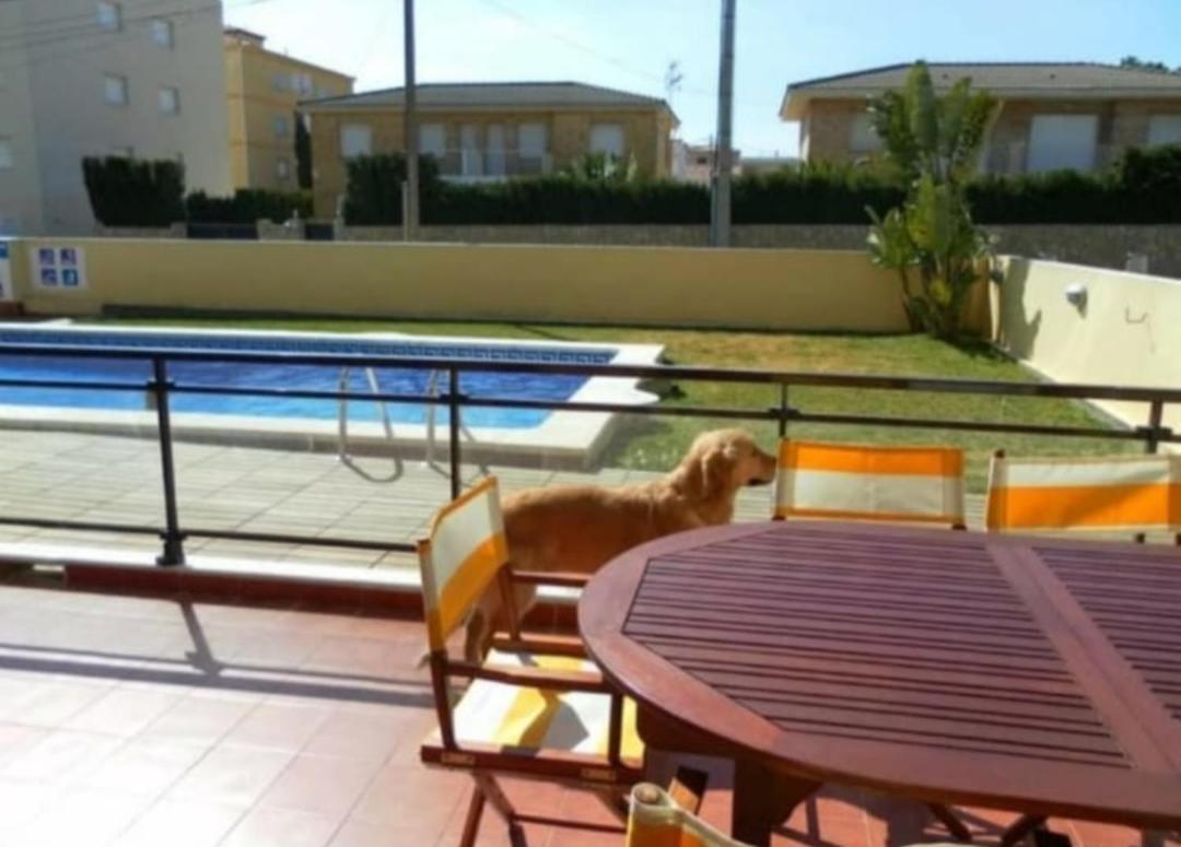Apartamento Con Terraza Y Acceso Directo A La Piscina Y A 50 M De La Playa Miami Playa Ngoại thất bức ảnh